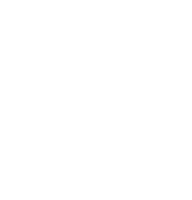 Big Apple Triathlon