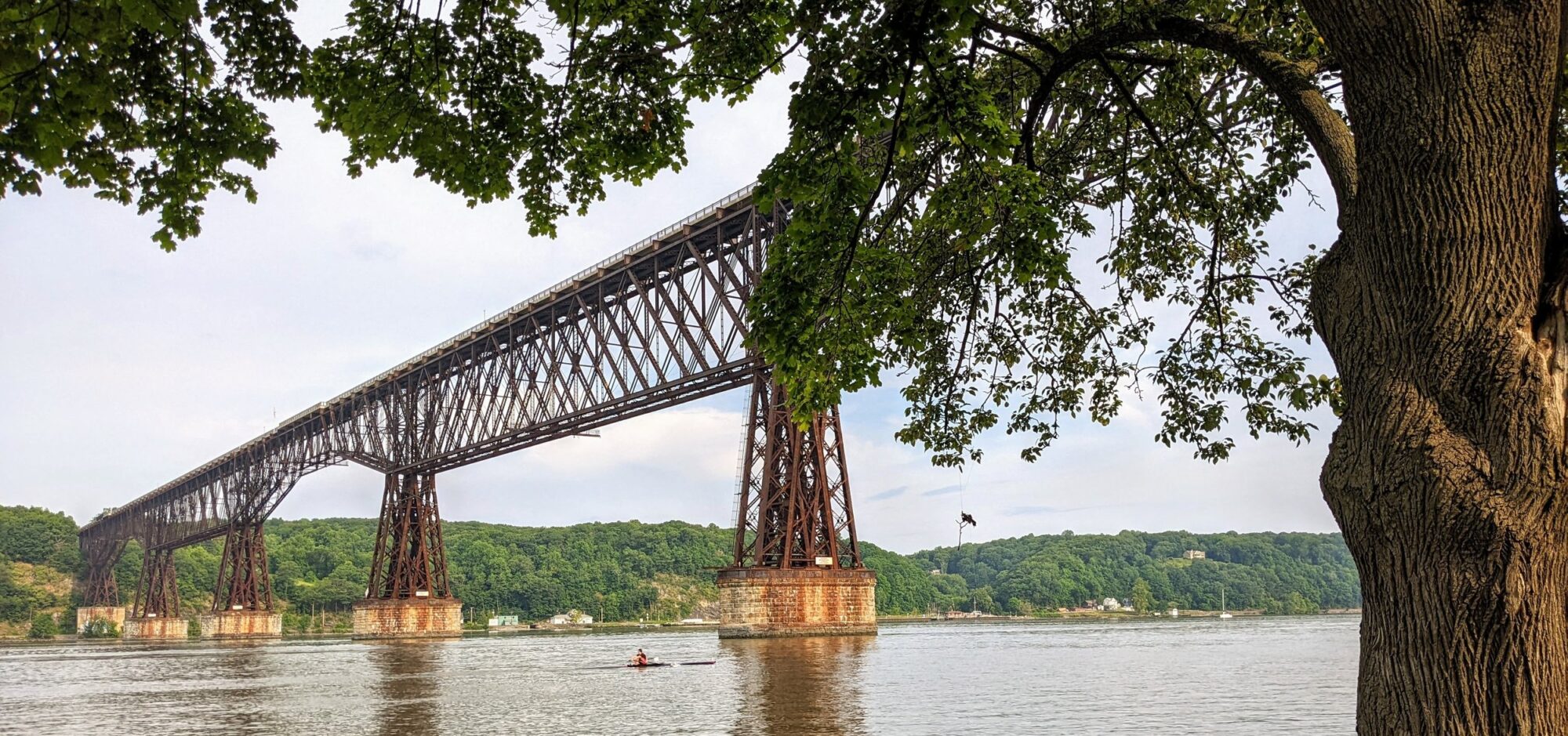Walkway Over the Hudson, NY Marathon 2026 - Individual